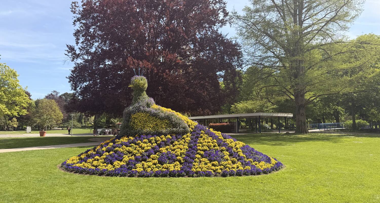 Eine große Blumenskulptur in Form eines Pfaus steht auf einer Wiese in einem Park, umgeben von Bäumen.
