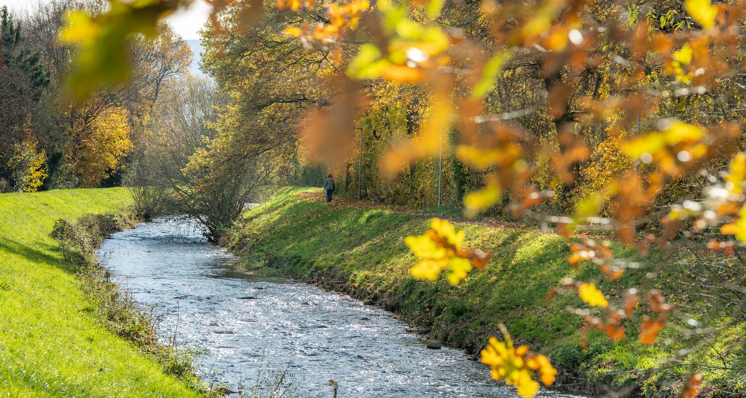 Ein ruhiger Bach (Neumagen) fließt an einer von Bäumen gesäumten, von grünem Gras bedeckten Uferlandschaft entlang, während die Sonnenstrahlen durch das Laub schimmern.