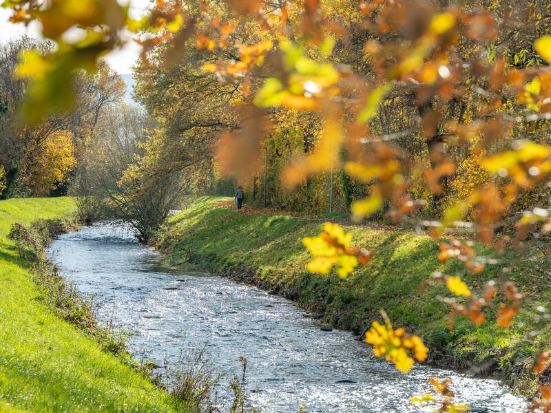 Ein ruhiger Bach (Neumagen) fließt an einer von Bäumen gesäumten, von grünem Gras bedeckten Uferlandschaft entlang, während die Sonnenstrahlen durch das Laub schimmern.