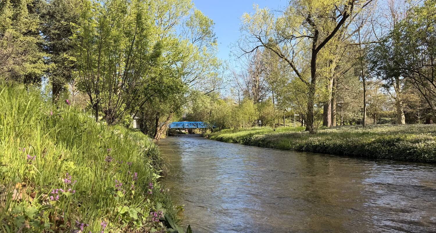 Ein klarer Fluss fließt durch eine grüne, von Bäumen gesäumte Landschaft unter einem blauen Himmel, mit einer blauen Brücke im Hintergrund.