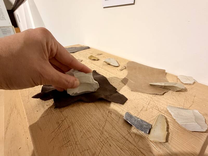 Eine Hand hält ein flaches, beigefarbenes Stück Gestein über einer Gruppe von ähnlichen, flach auf einem Holztisch liegenden Steinen.