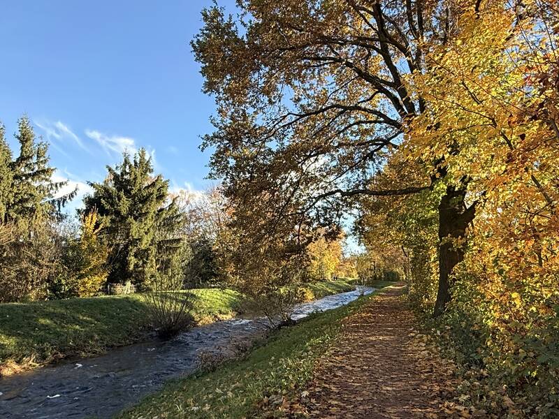 Ein herbstlicher Weg mit gelb-orange verfärbten Bäumen verläuft entlang eines kleinen Bachs unter klarem blauem Himmel.