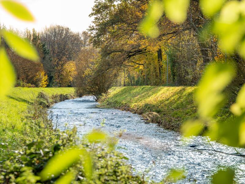Ein schmaler Bach fließt durch eine von Bäumen und grünem Gras gesäumte Landschaft im Herbst.