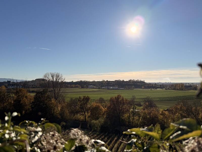 In der Mitte des Bildes befindet sich eine weitläufige grüne Landschaft unter einem klaren blauen Himmel mit strahlendem Sonnenschein, umgeben von Bäumen am Horizont.