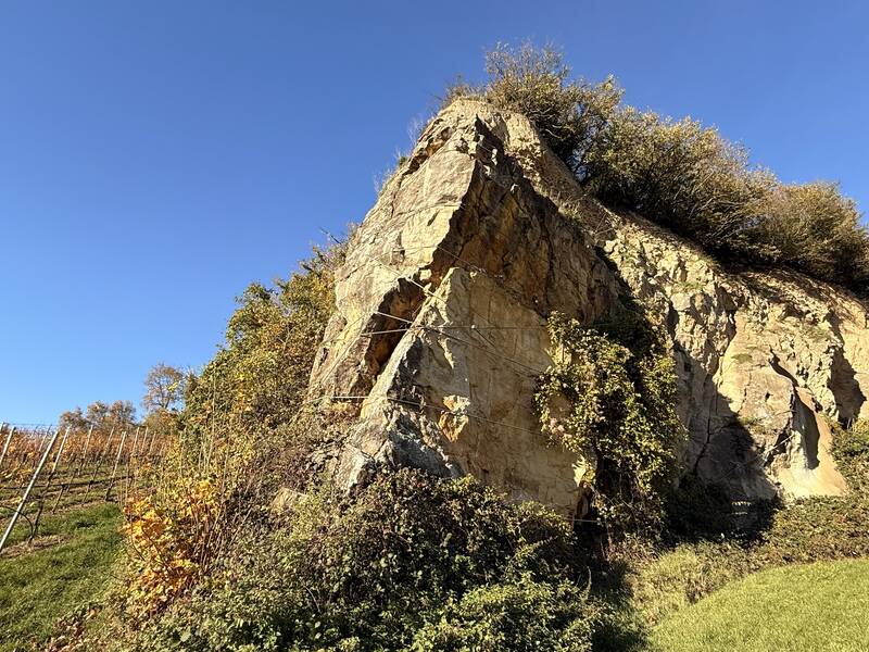 Ein steiler Felsen, der mit Pflanzen bewachsen ist, erhebt sich neben einem Weinberg unter klarem blauem Himmel.
