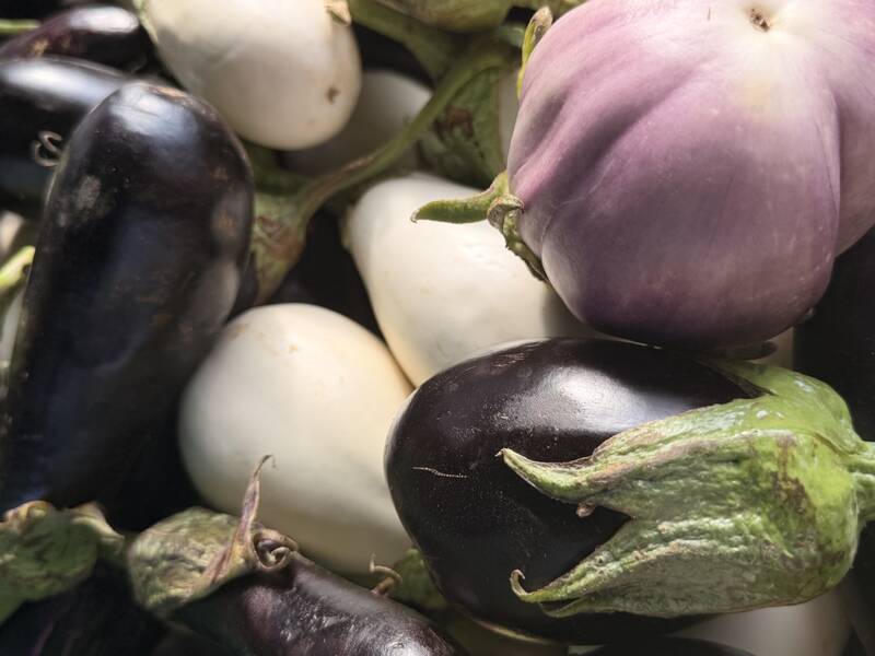 Eine Ansammlung von verschiedenfarbigen Auberginen, darunter schwarze, weiße und hellviolette Exemplare.