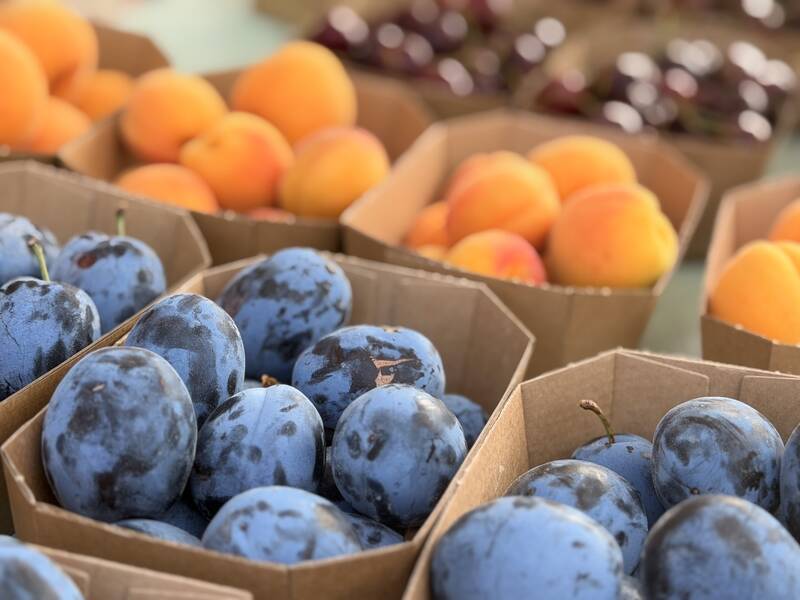 Pappschalen gefüllt mit blauen Pflaumen und orangen Aprikosen sind auf einem Marktstand angeordnet.